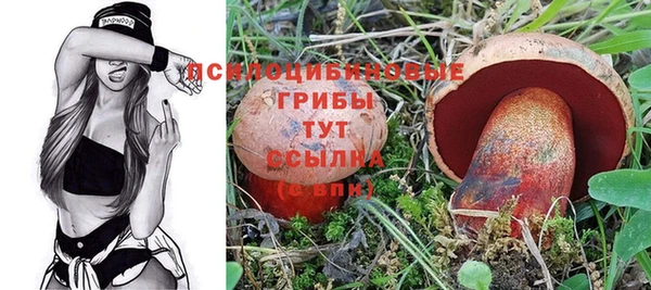 PSILOCYBIN Алексеевка