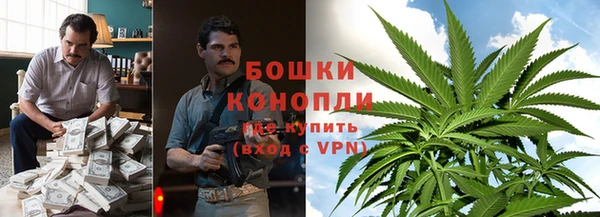 PSILOCYBIN Алексеевка