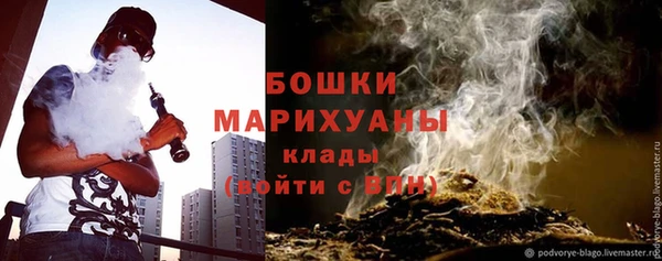 PSILOCYBIN Алексеевка