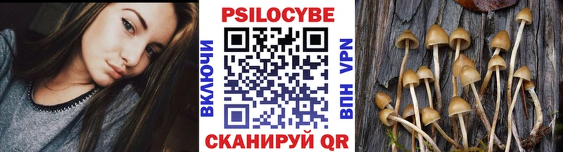 Галлюциногенные грибы Psilocybe  это официальный сайт  Ливны  купить  