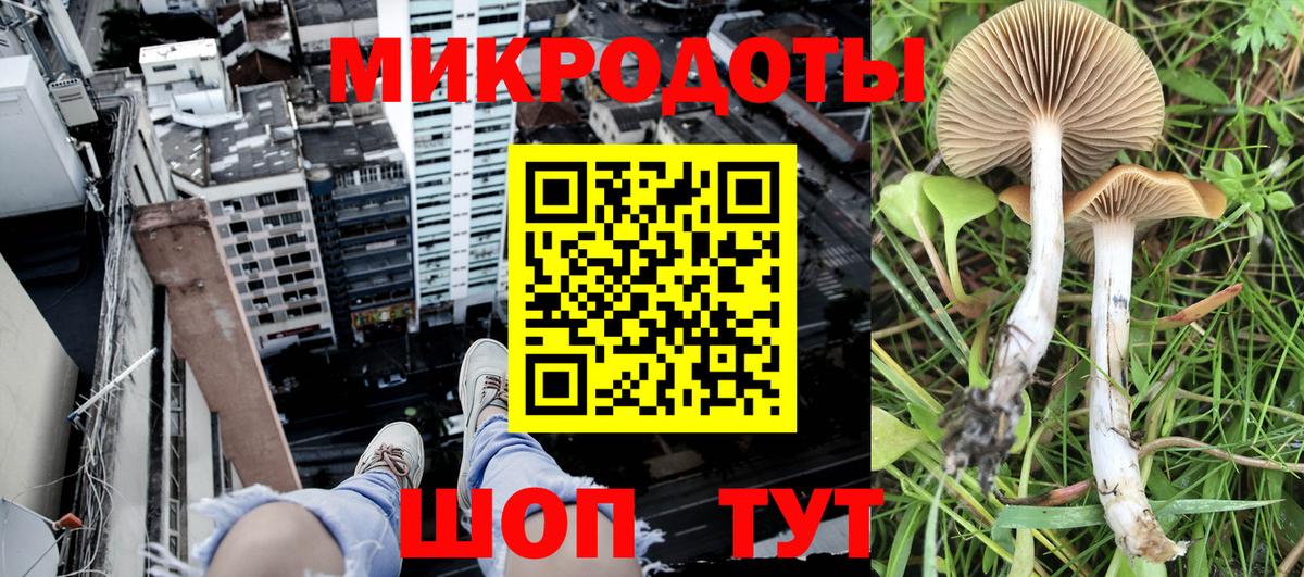 Галлюциногенные грибы прущие грибы  Вход с VPN  Ливны 