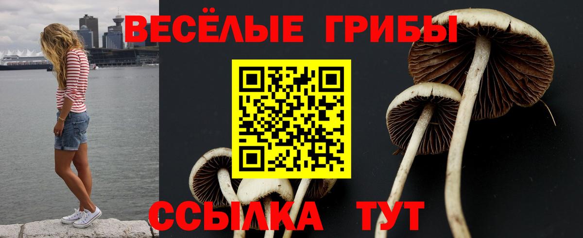 Галлюциногенные грибы GOLDEN TEACHER Ливны